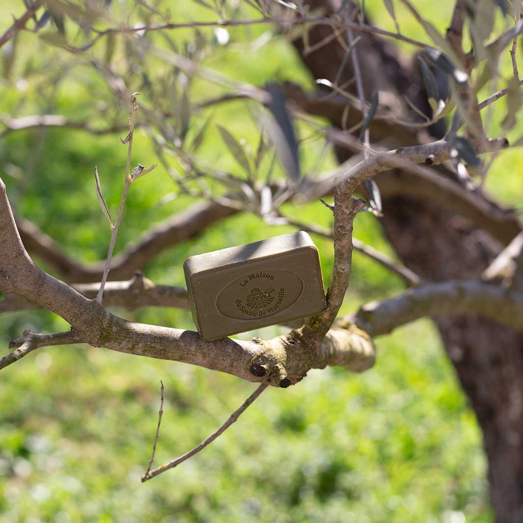 Savonette de Savon de Marseille 100g – Véritable Savon de Marseille